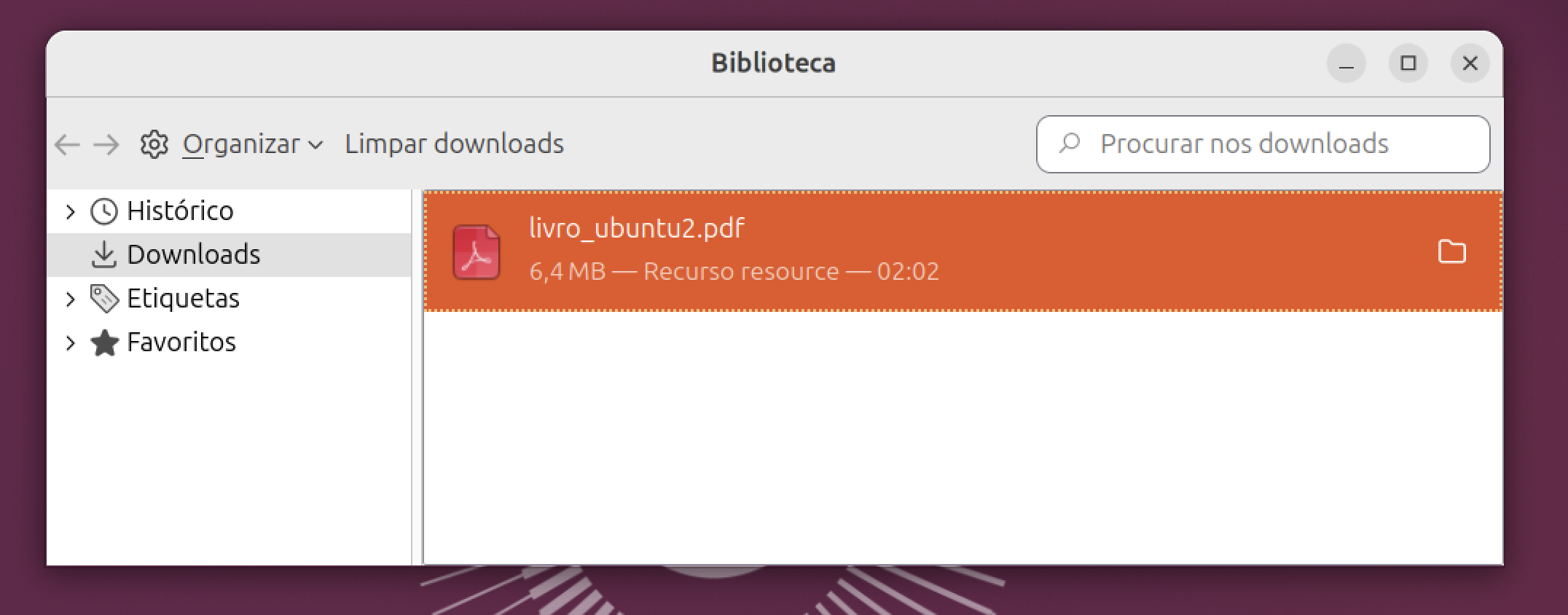 Firefox mostrando o painel de downloads com um arquivo baixado